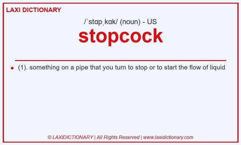 Definition stopcock in American English