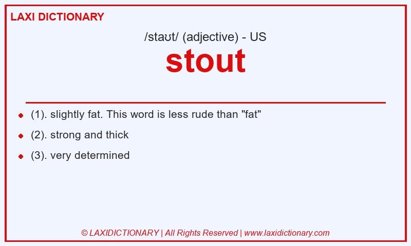 Definition stout in American English