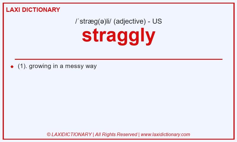 Definition straggly in American English