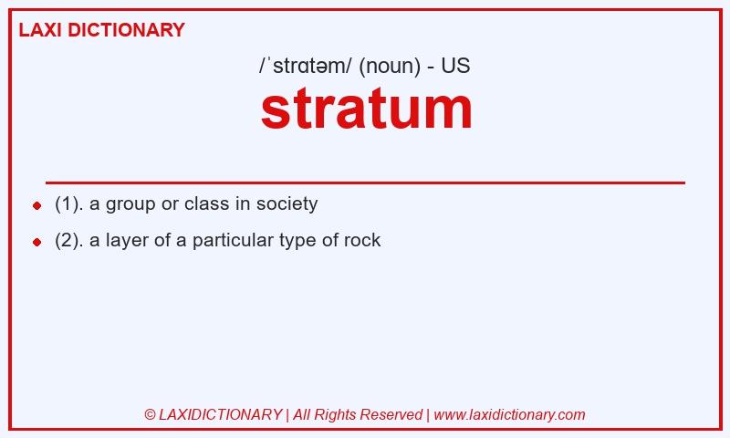 Definition stratum in American English