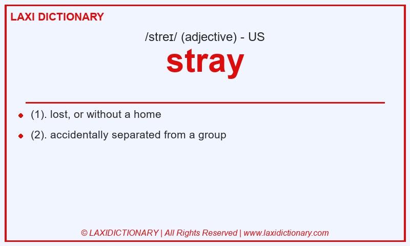 Definition stray in American English