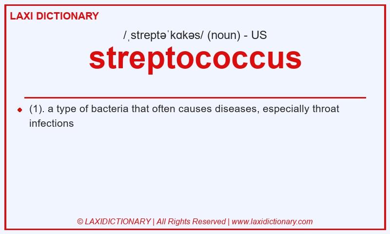 Definition streptococcus in American English