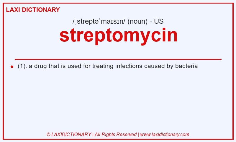 Definition streptomycin in American English