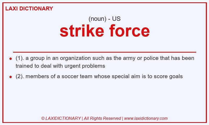 Definition strike force in American English