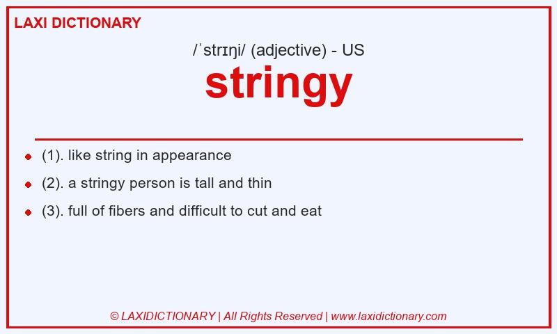 Definition stringy in American English