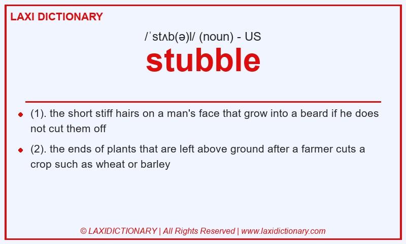 Definition stubble in American English