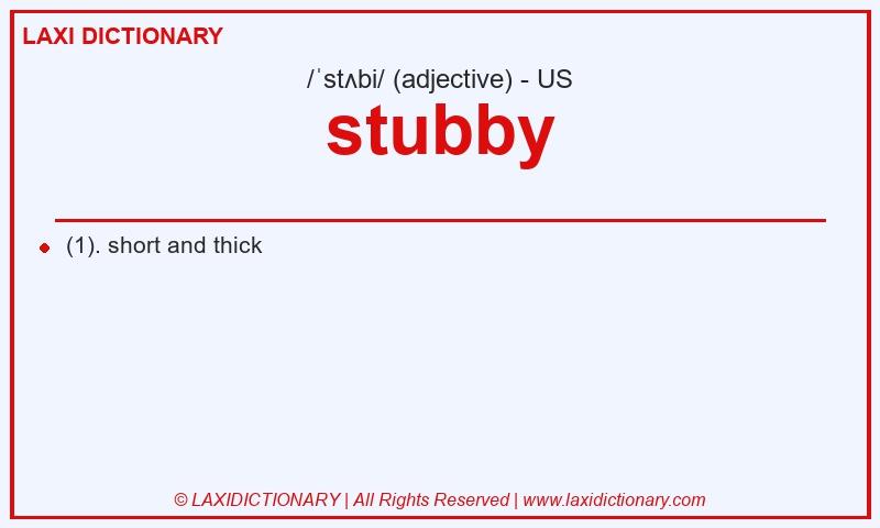 Definition stubby in American English