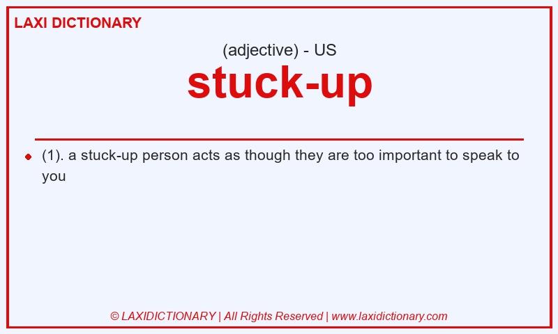 Definition stuck-up in American English