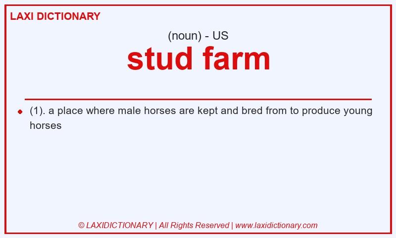 Definition stud farm in American English
