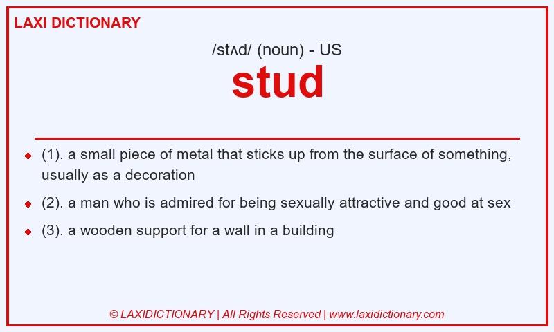 Definition stud in American English