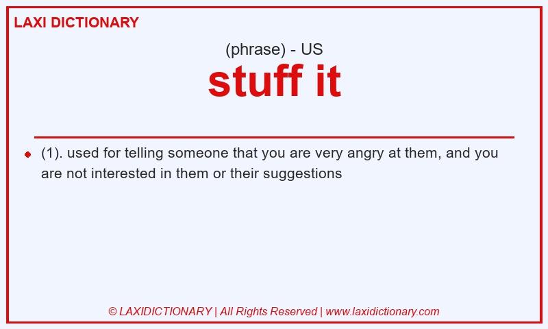 Definition stuff it in American English