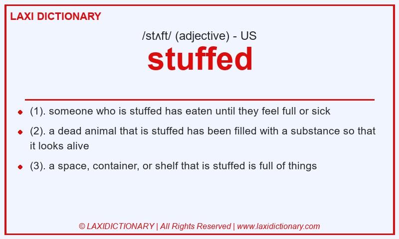 Definition stuffed in American English