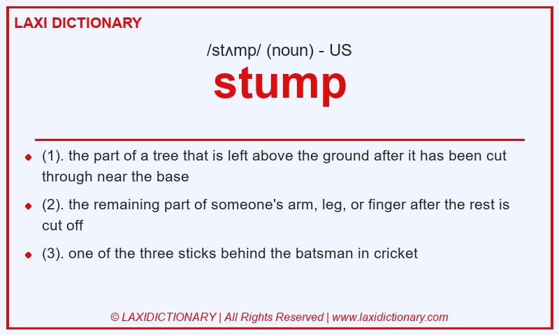 Definition stump in American English