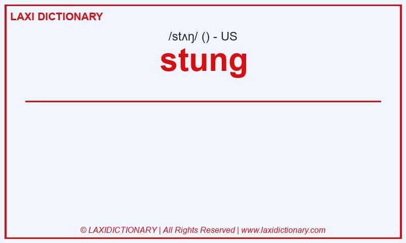 Definition stung in American English