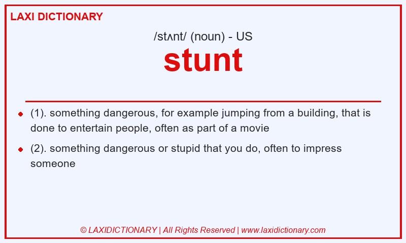 Definition stunt in American English