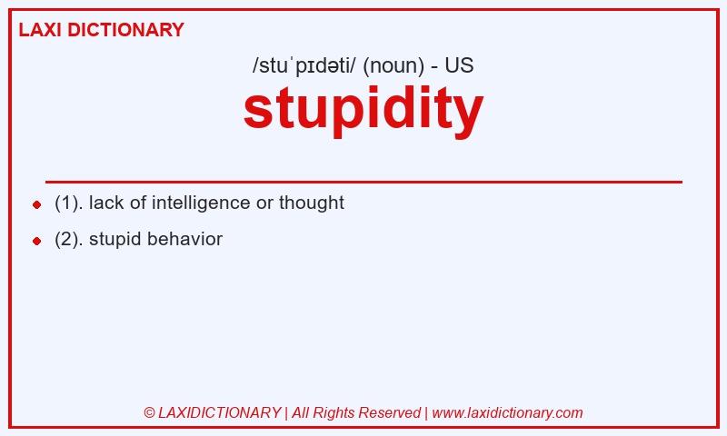 Definition stupidity in American English