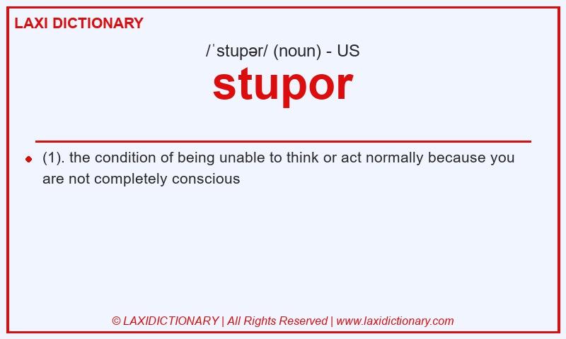 Definition stupor in American English