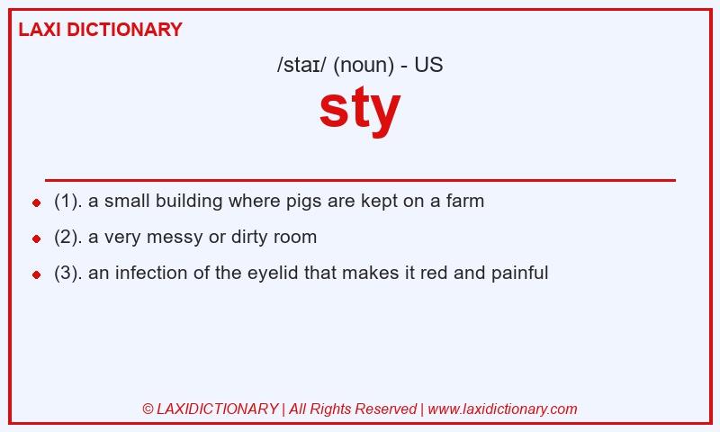 Definition sty in American English