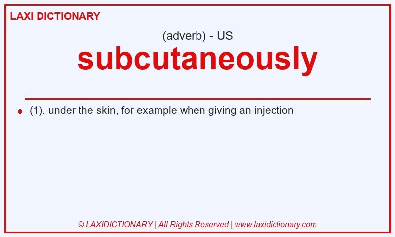 Definition subcutaneously in American English