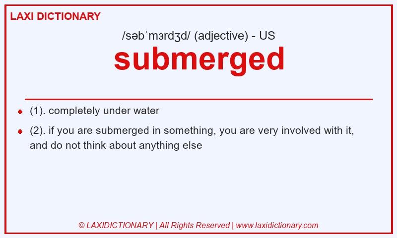 Definition submerged in American English