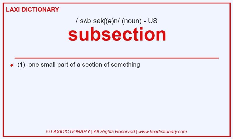Definition subsection in American English