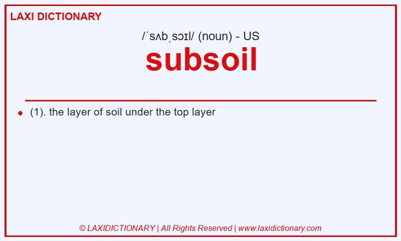 Definition subsoil in American English