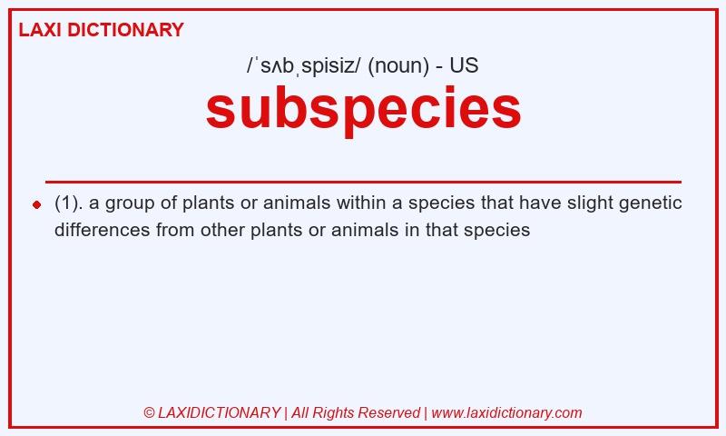 Definition subspecies in American English