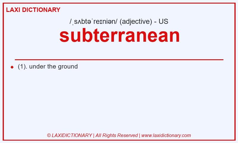 Definition subterranean in American English