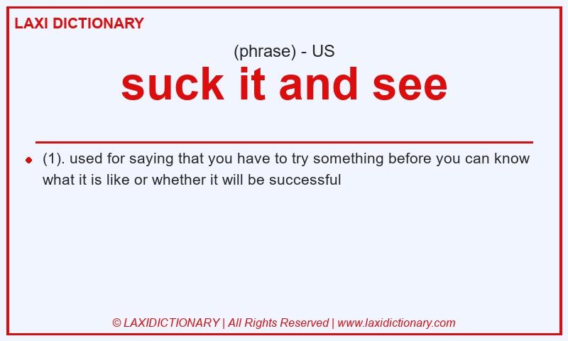 Definition suck it and see in American English