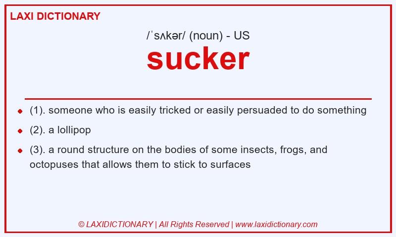 Definition sucker in American English