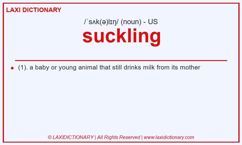 Definition suckling in American English