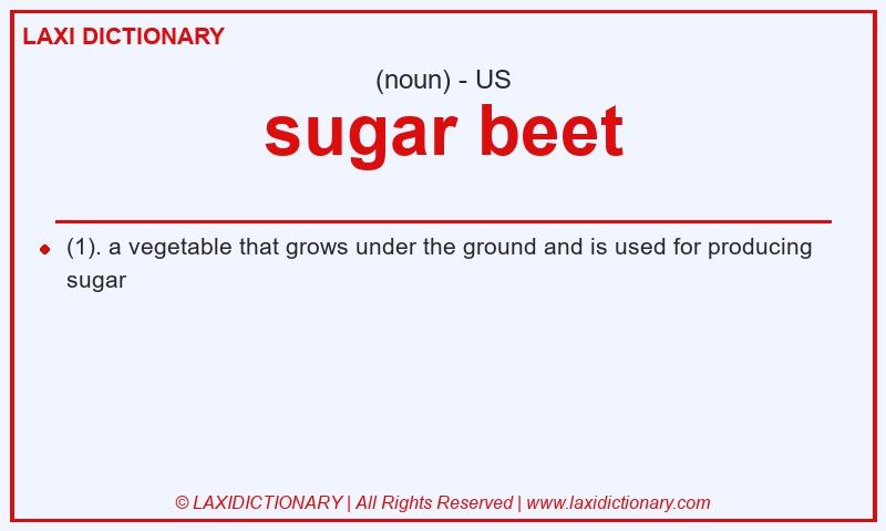 Definition sugar beet in American English