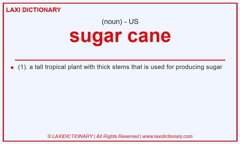 Definition sugar cane in American English