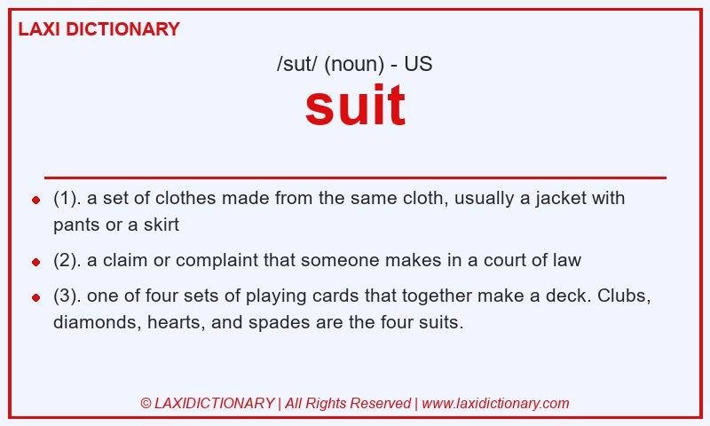 Definition suit in American English