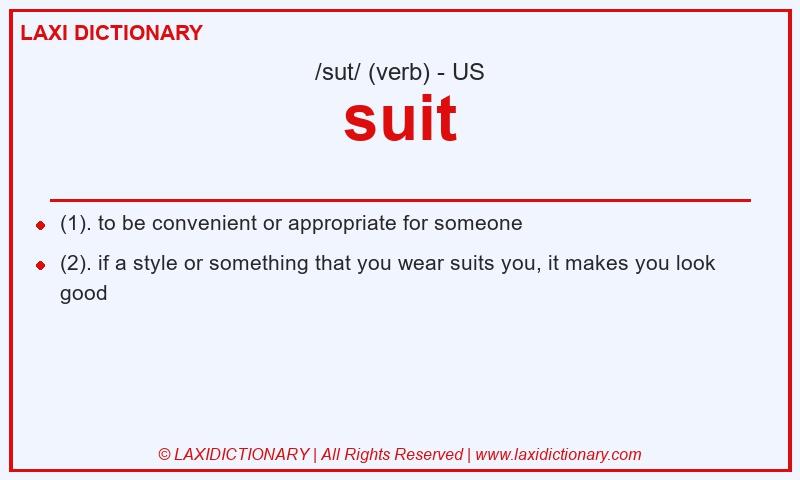 Definition suit in American English