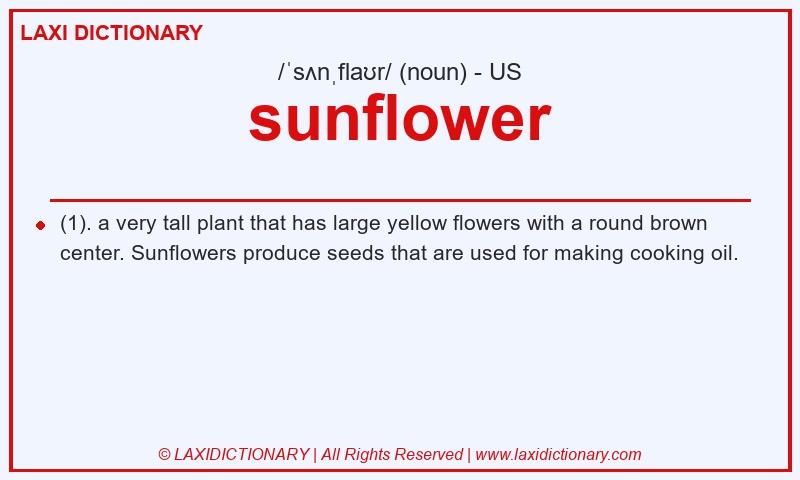 Definition sunflower in American English