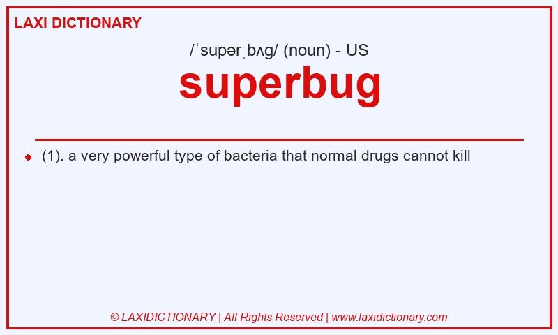 Definition superbug in American English