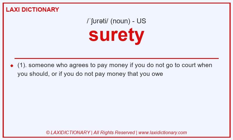 Definition surety in American English