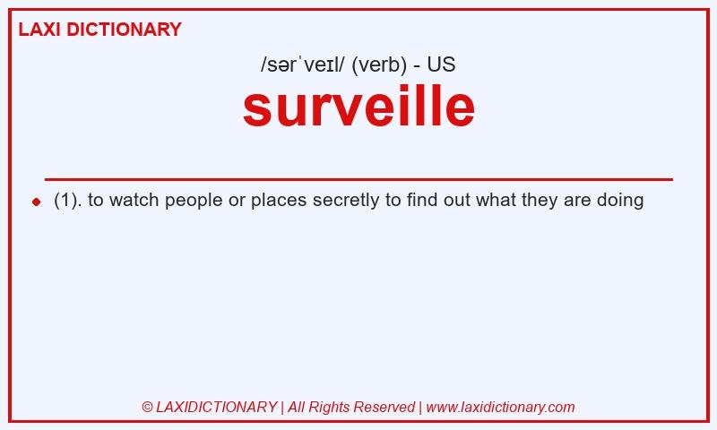 Definition surveille in American English