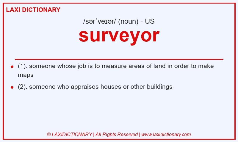 Definition surveyor in American English