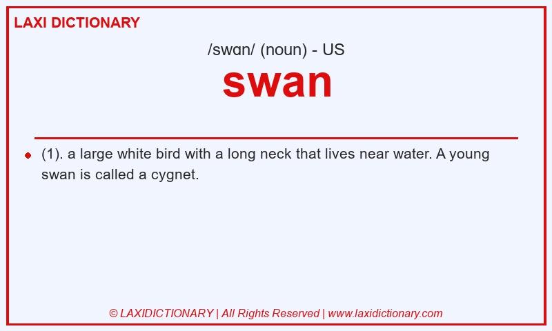 Definition swan in American English