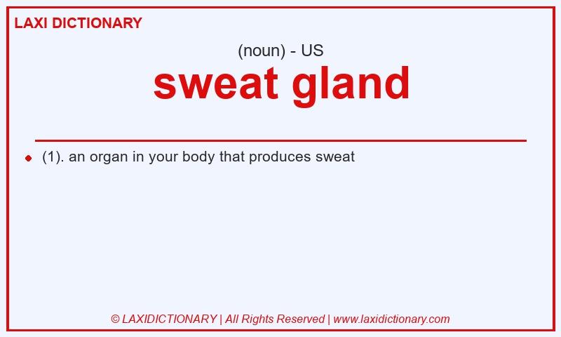 Definition sweat gland in American English