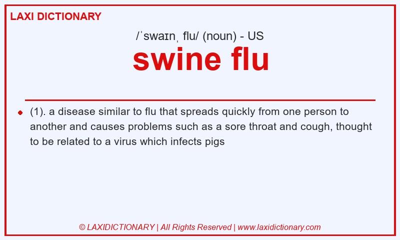 Definition swine flu in American English