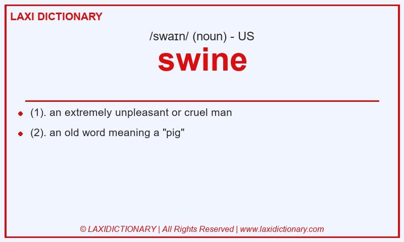 Definition swine in American English