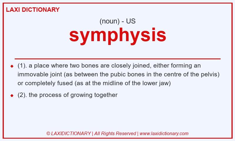 Definition symphysis in American English