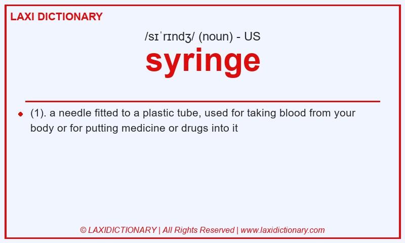 Definition syringe in American English