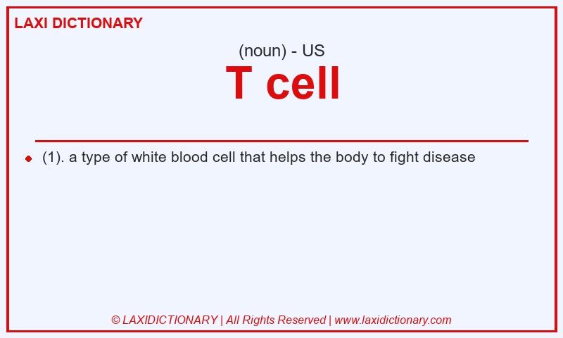 Definition T cell in American English