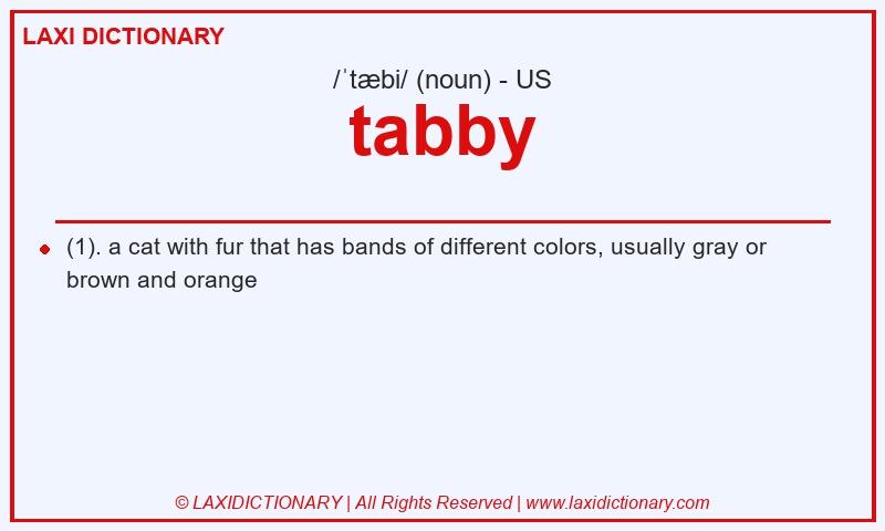 Definition tabby in American English