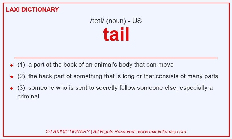 Definition tail in American English