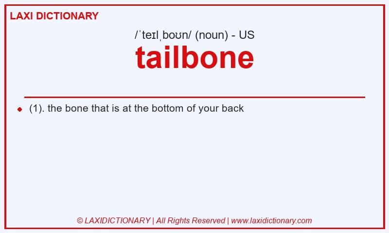 Definition tailbone in American English